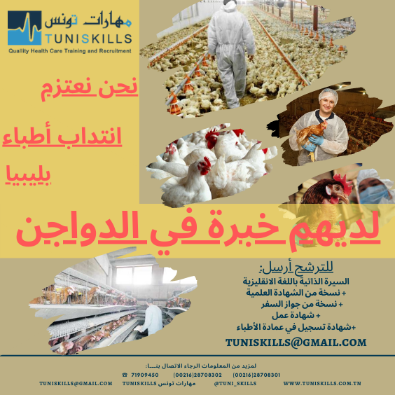 TuniSKILLS offres